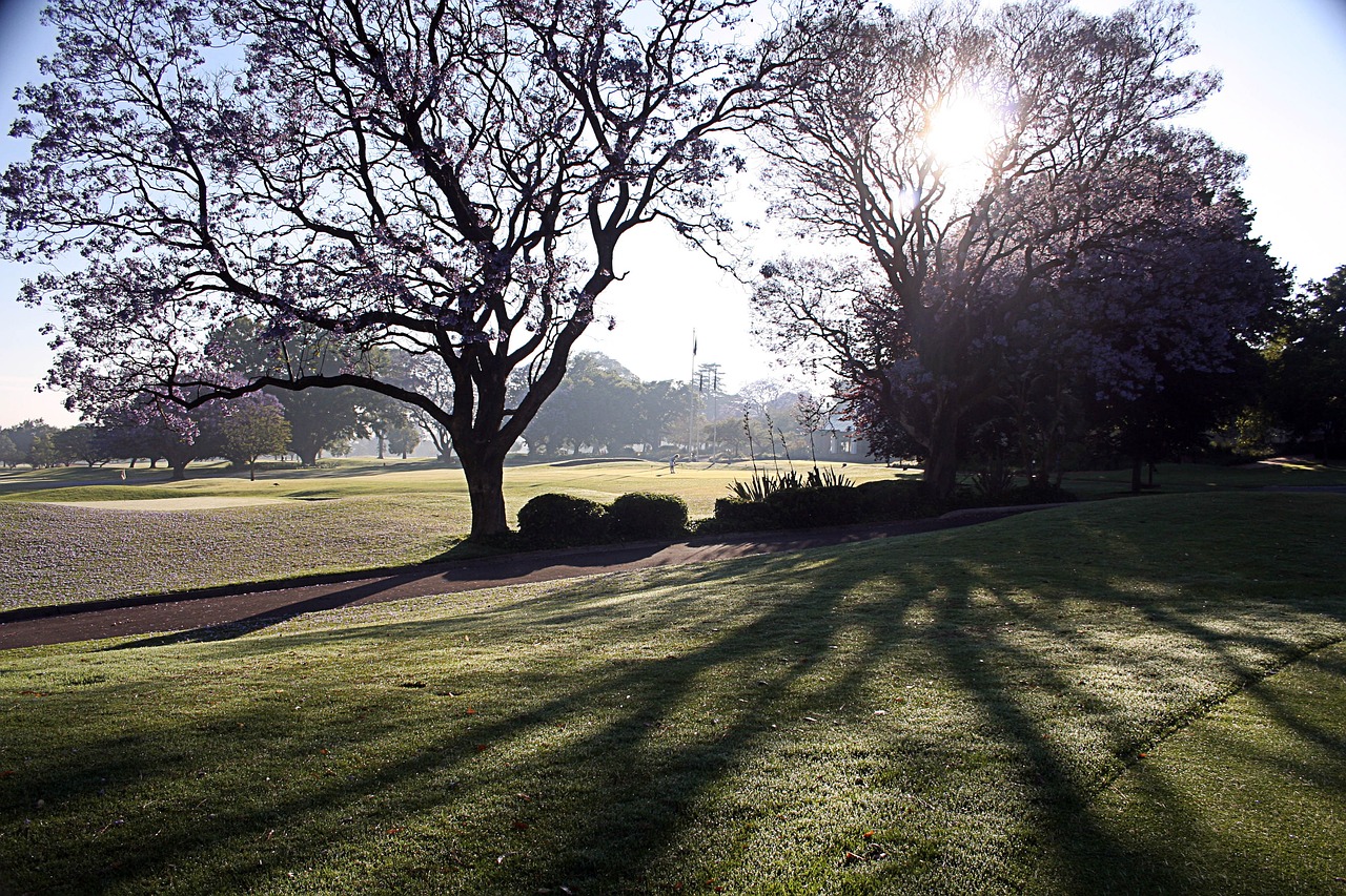 golf, shadows, shadow-5066829.jpg